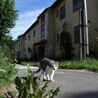 Аномальная зона